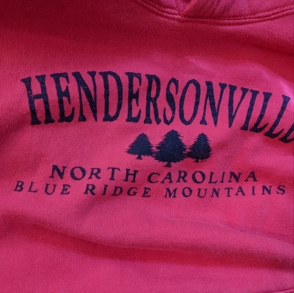 Henderaonville North Carolina Hoodie - Picture 3 of 4